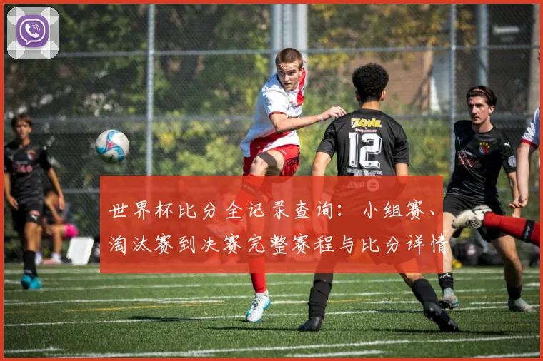 世界杯比分全记录查询：小组赛、淘汰赛到决赛完整赛程与比分详情汇总